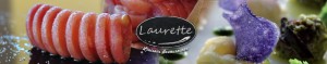 Laurette_banderole_2015