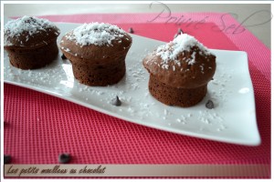 Les petits moelleux au chocolat 3