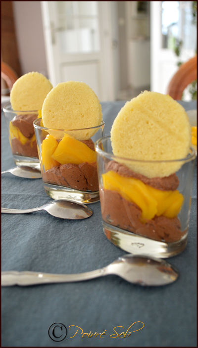 verrine-chocolat-mangue-citron