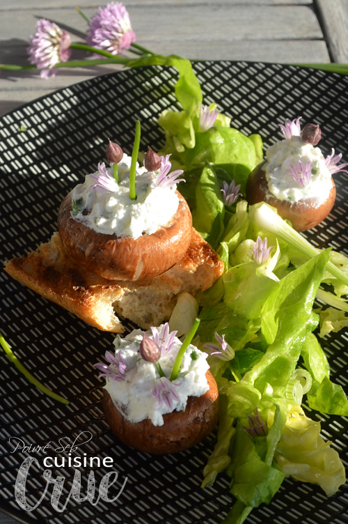 Champignons printaniers au chèvre fouetté et fleurs de ciboulette sur petite verdure.